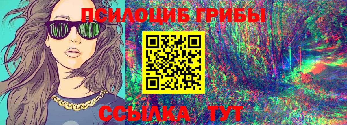 Галлюциногенные грибы Psilocybe Зеленогорск