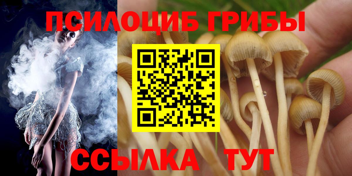 Зеленогорск  Галлюциногенные грибы Magic Shrooms  Вход с VPN 