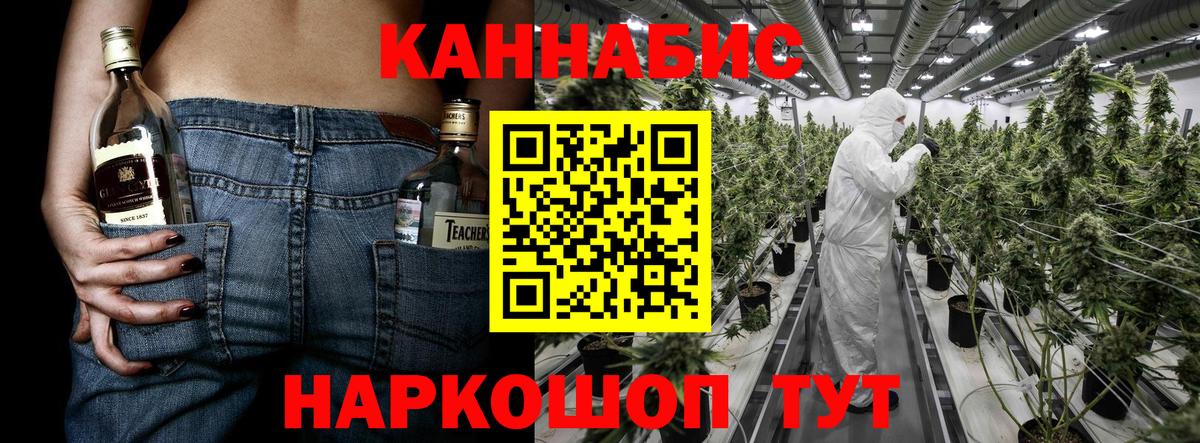 Каннабис сатива Зеленогорск